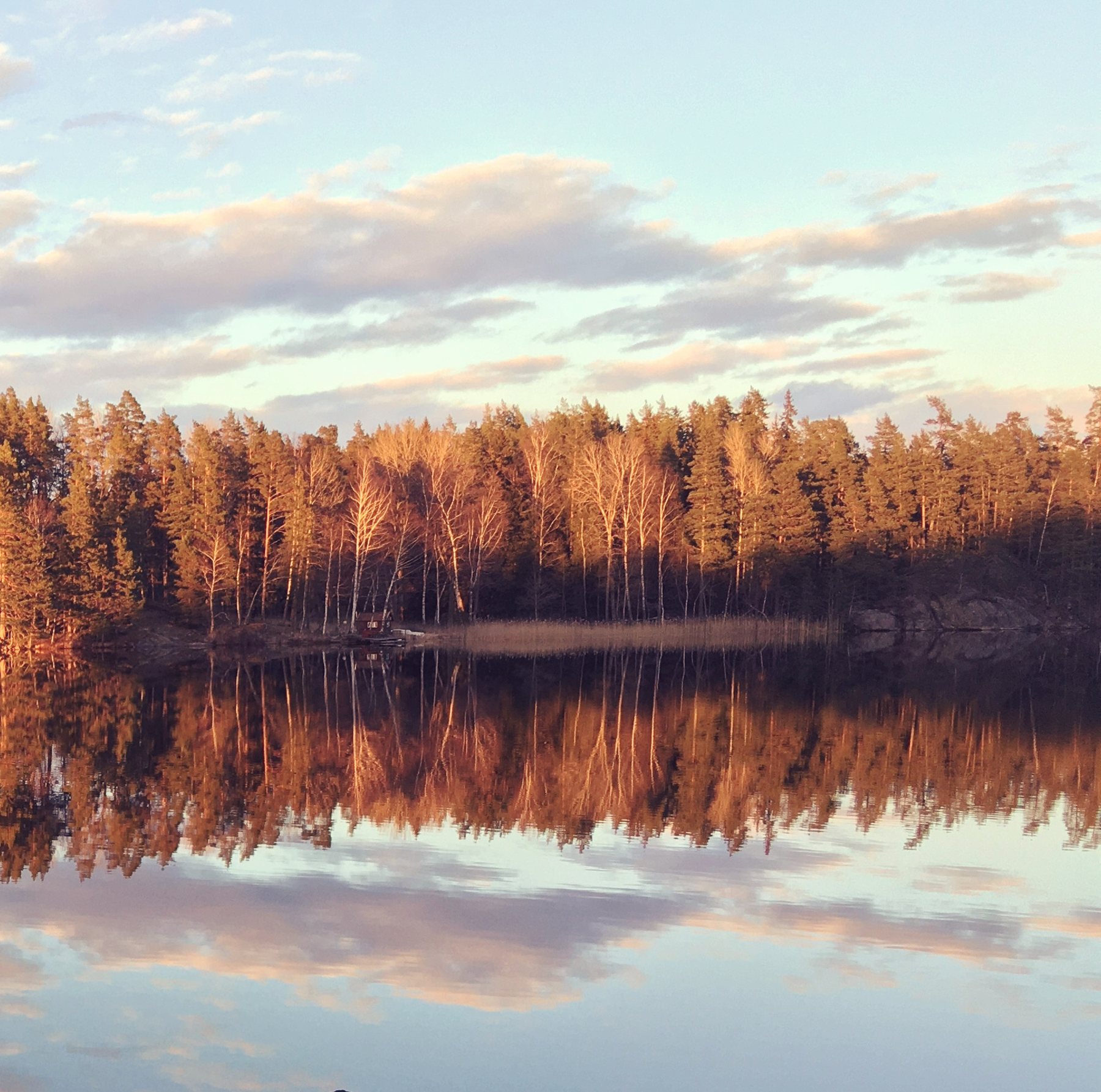 Skog och himmel speglas i en stilla sjö i varmt kvällsljus